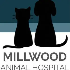 millwoodanimalhosp thumbnail