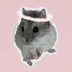 cocothedwarfhamster