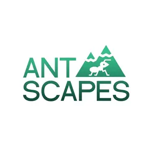 antscapes