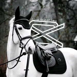 _horse.editsz_ thumbnail