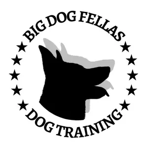 bigdogfellas