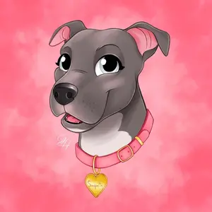 socquette_staffy