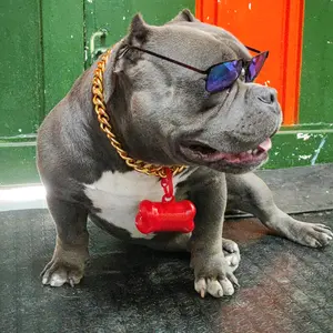 valentinoelbully