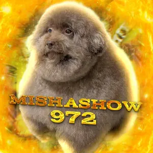 mishashow972
