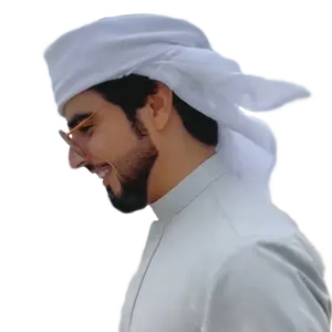 ibn_zayed3