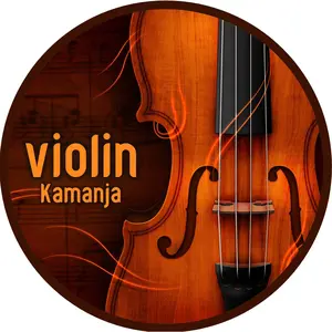 violin.kamanja