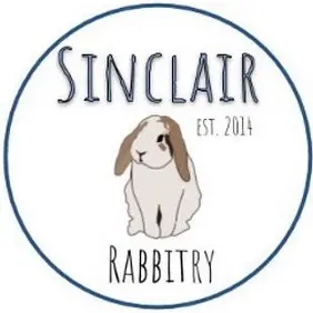 sinclair.rabbitry thumbnail