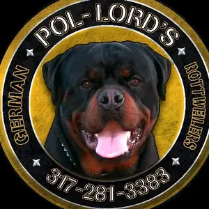 pol.lords.rottweilers thumbnail