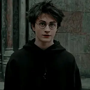 potter__lovers thumbnail