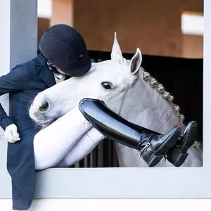 equestrian_sport5