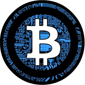 bitcoinadvizers