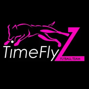 timeflyzflyball
