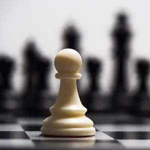 thechessbible