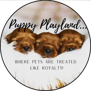puppy_playland_ thumbnail