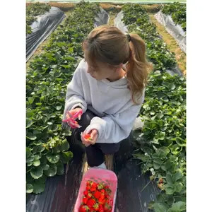 strawberry._.162