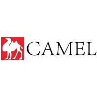 camel.electronic thumbnail