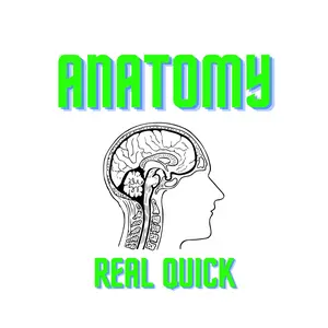 anatomy_rq