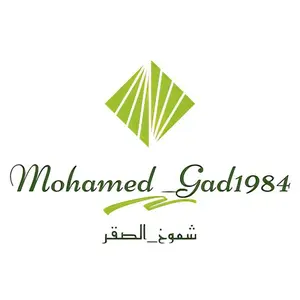 mohamed_gad1984