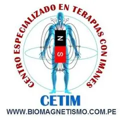 cetimbiomagnetism