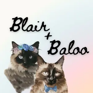 blairandbaloo