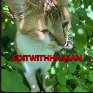 editwithhassan thumbnail