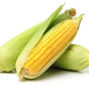 ai_corn