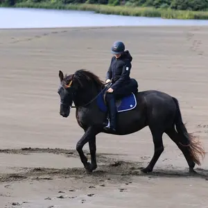 tengjie_equestrian