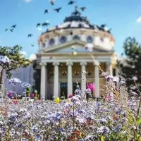 bucharest_romania