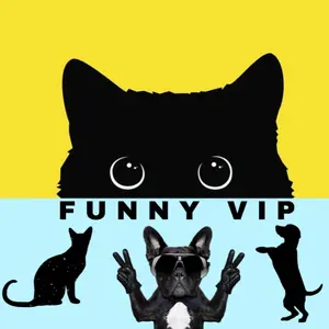 funny_vip007