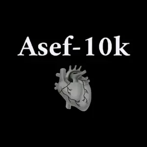 asef_10k thumbnail