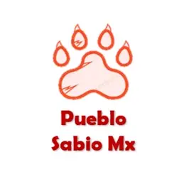 pueblosabiomx