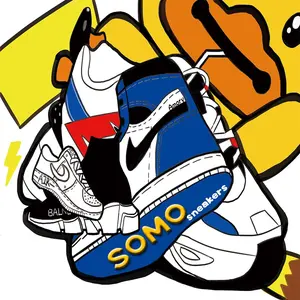 somo_kicks