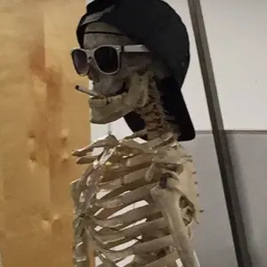 skeleton_msk