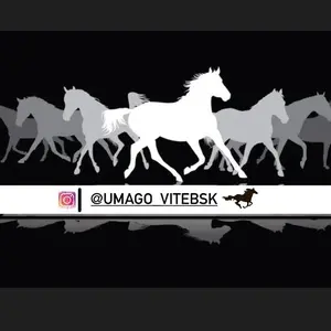 umago.vitebsk