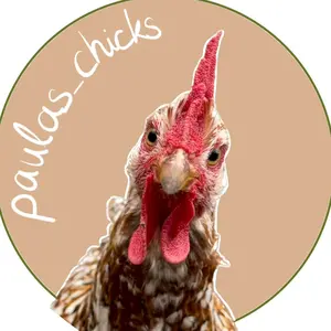 paulas_chicks