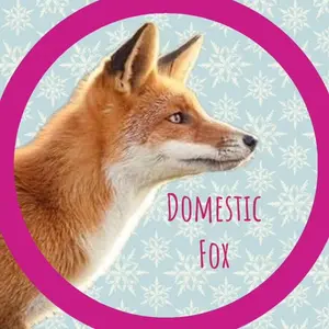 domestic_foxes