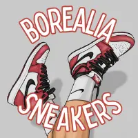 borealia_sneakers thumbnail