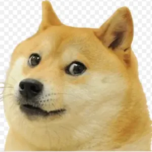 doge_no_tiktok