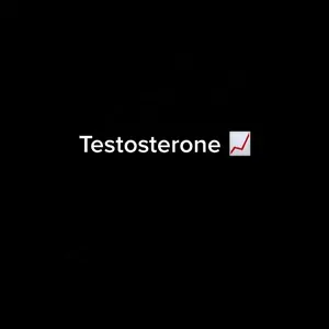 testosteron_music