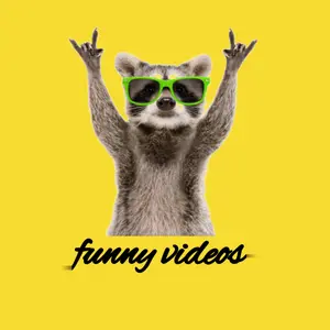 funny_videos.uz