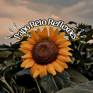 papo_reto_reflexoes thumbnail