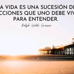 frases_videos000