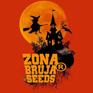 zona_bruja_seeds_oficial
