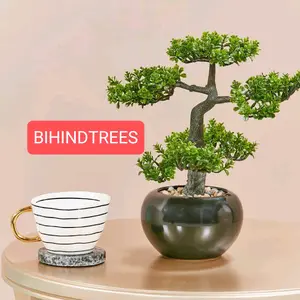 bihindtrees54 thumbnail