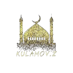 kulamov.313