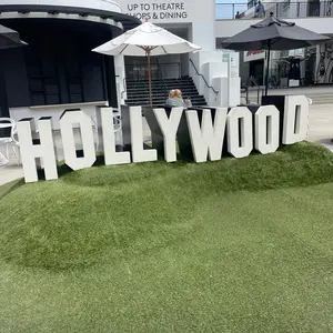 thestreetsofhollywood