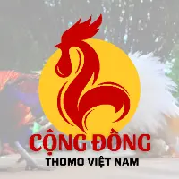 congdongthomovn