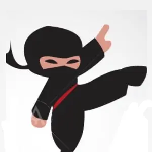 ninja_pontikos