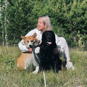 mary_and_dogs