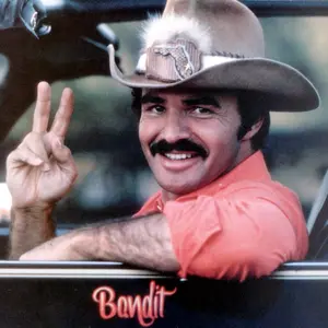 thebandit77